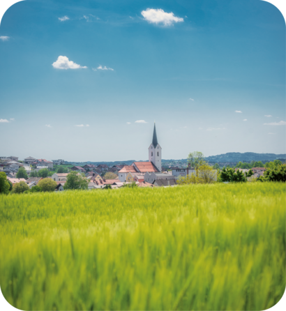 Panoramabild